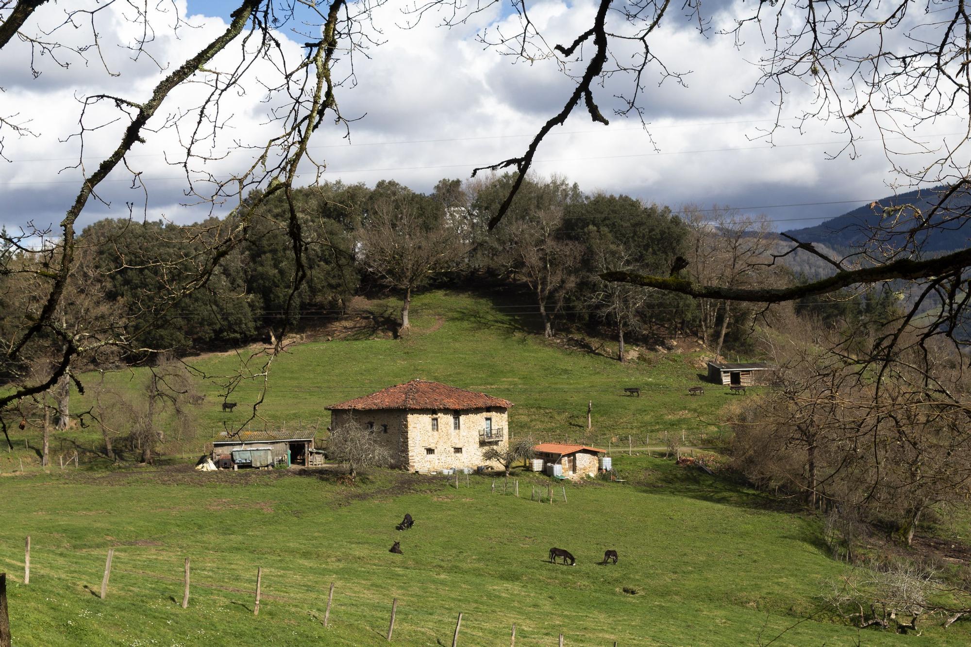El caserío familiar Landiola, ubicado en Güeñes, se convirtió en fuente de inspiración para el proyecto