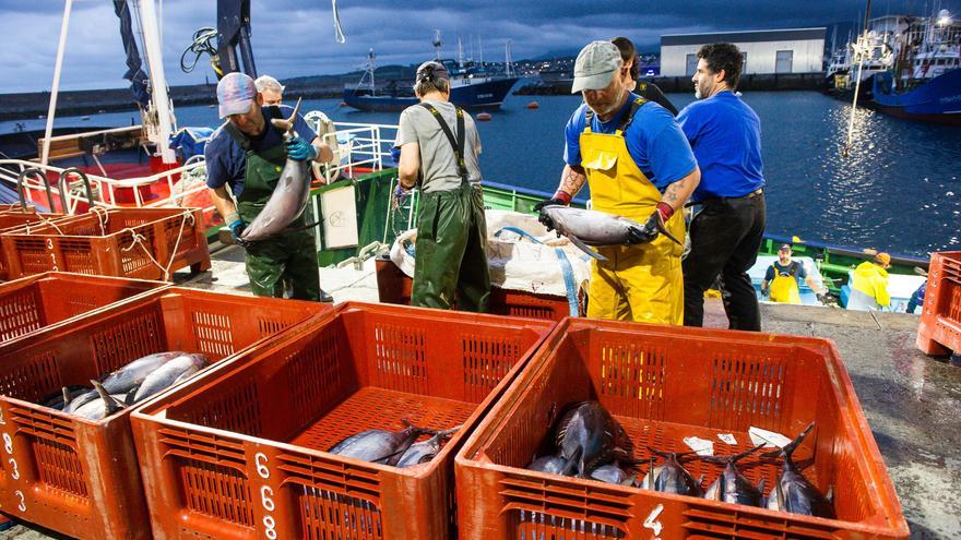 La flota vasca finaliza la costera del bonito con 10.759.127 kilos, el 60 % de la española