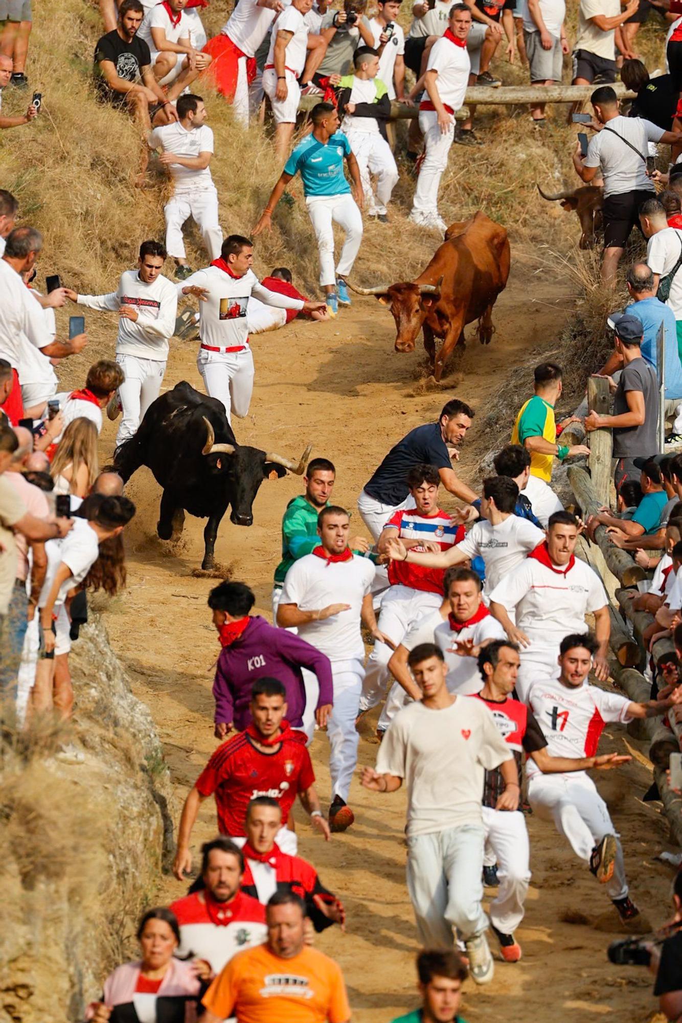 Fotos del segundo encierro del Pilón de Falces 2025