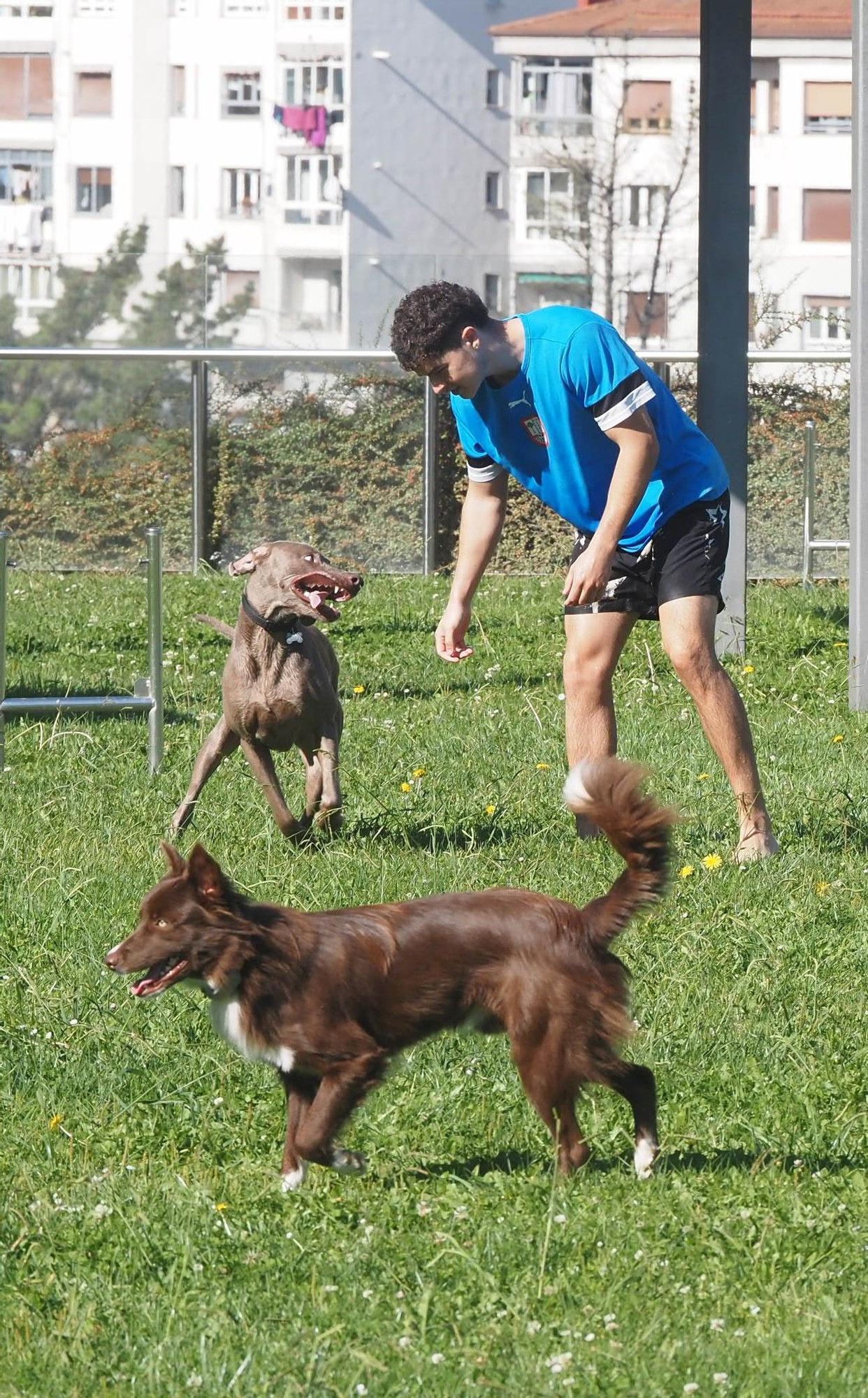 Las piscinas de Eibar han sido coto privado para los perros