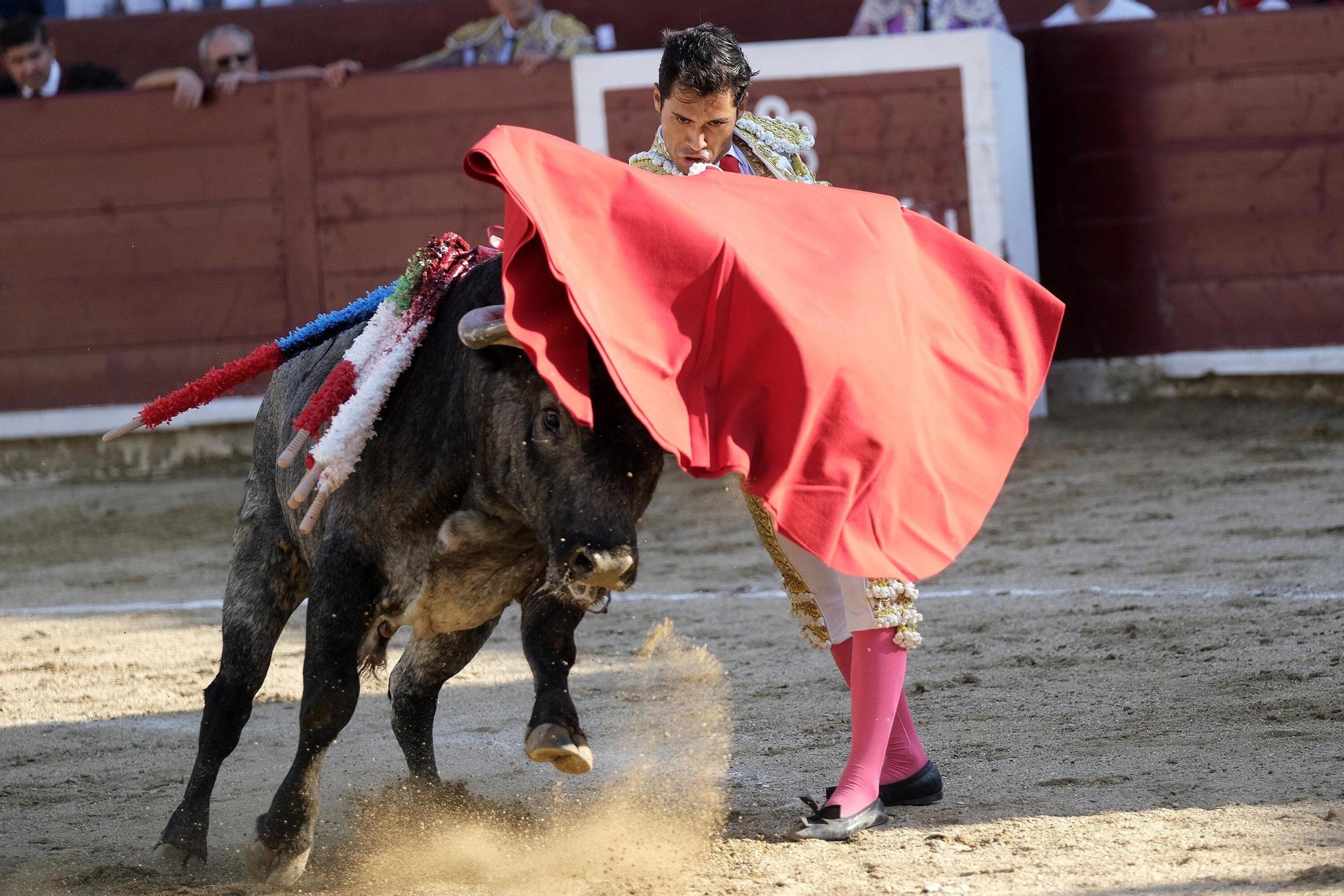 Fotos de la corrida con toros de Partido de Resina en fiestas de Estella-Lizarra
