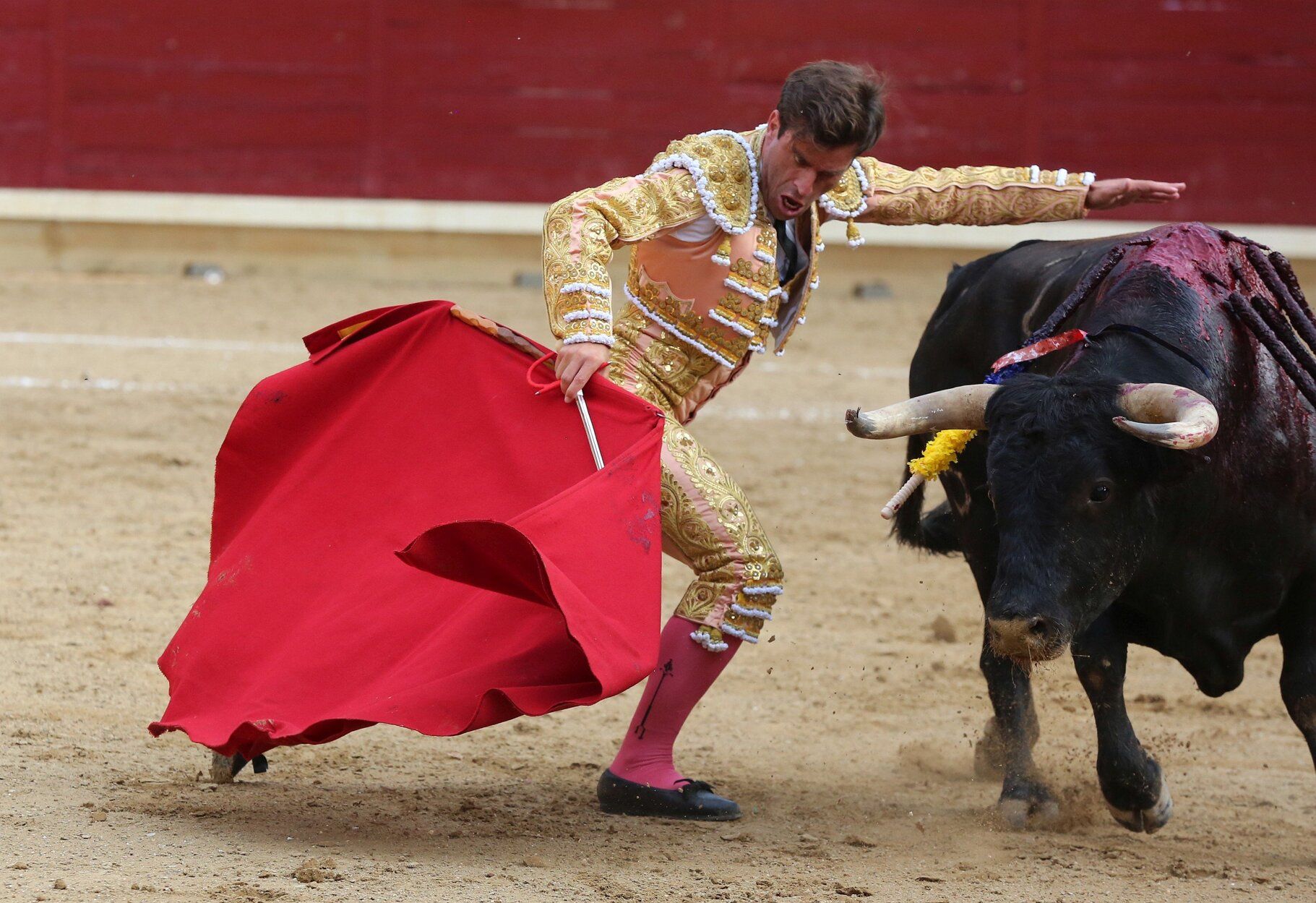 Fotos de la tercera corrida de toros de fiestas de Tafalla
