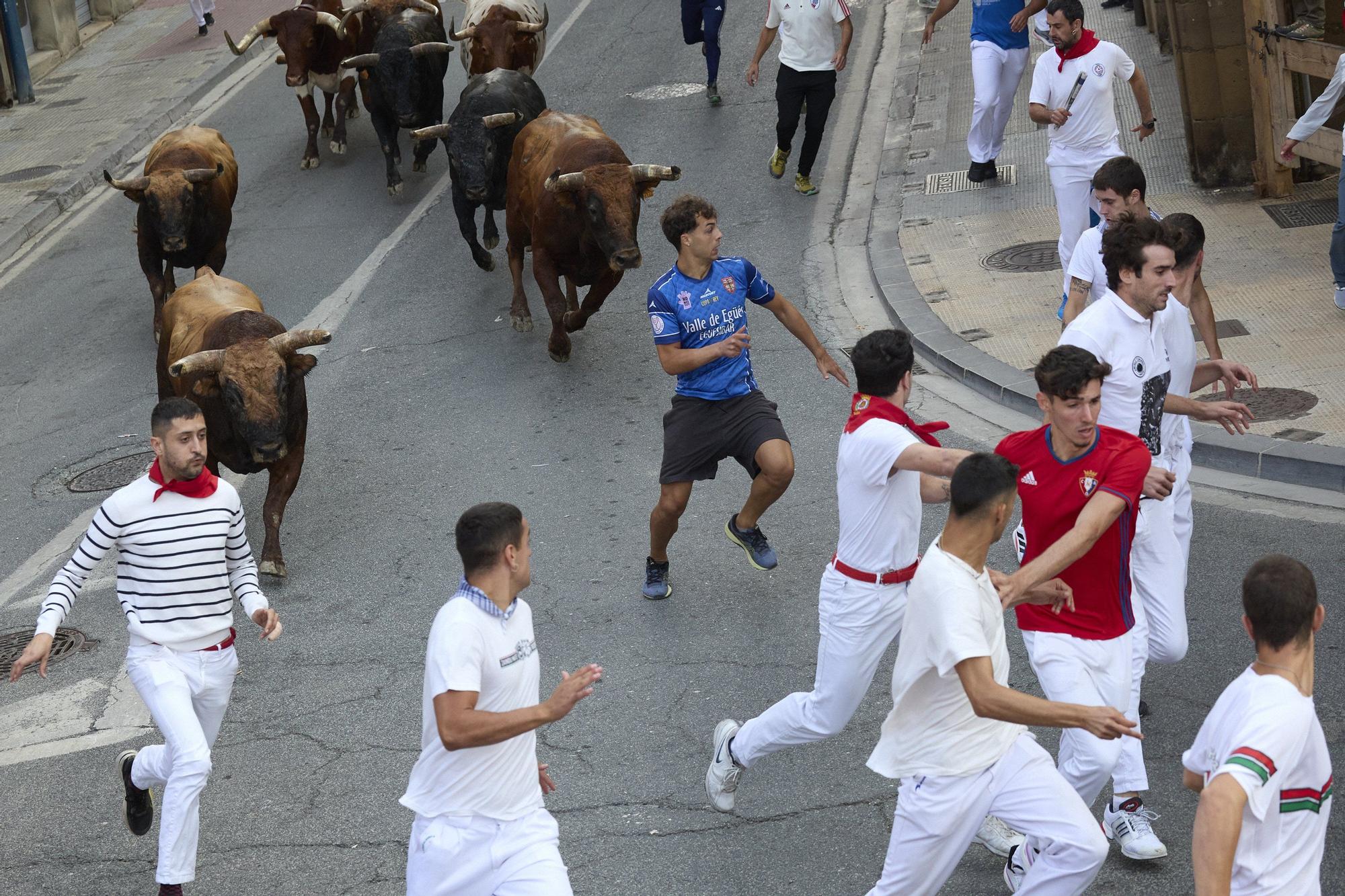 Fotos del sexto encierro de las fiestas de Tafalla 2025