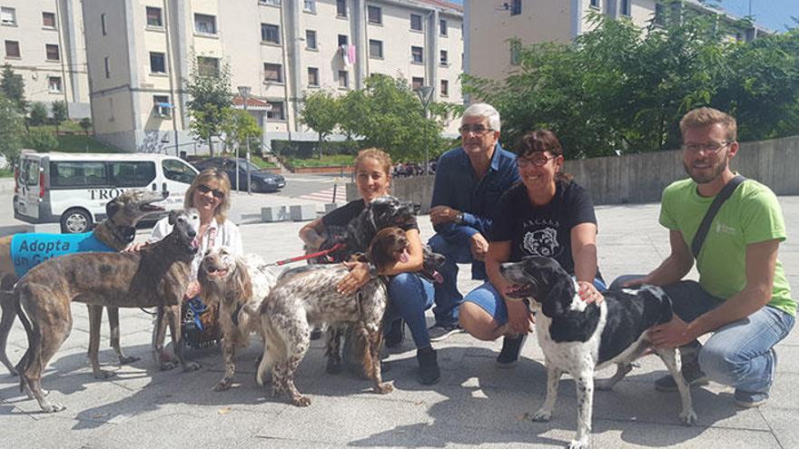 Los perros, sean de la raza que sean, merecen respeto.