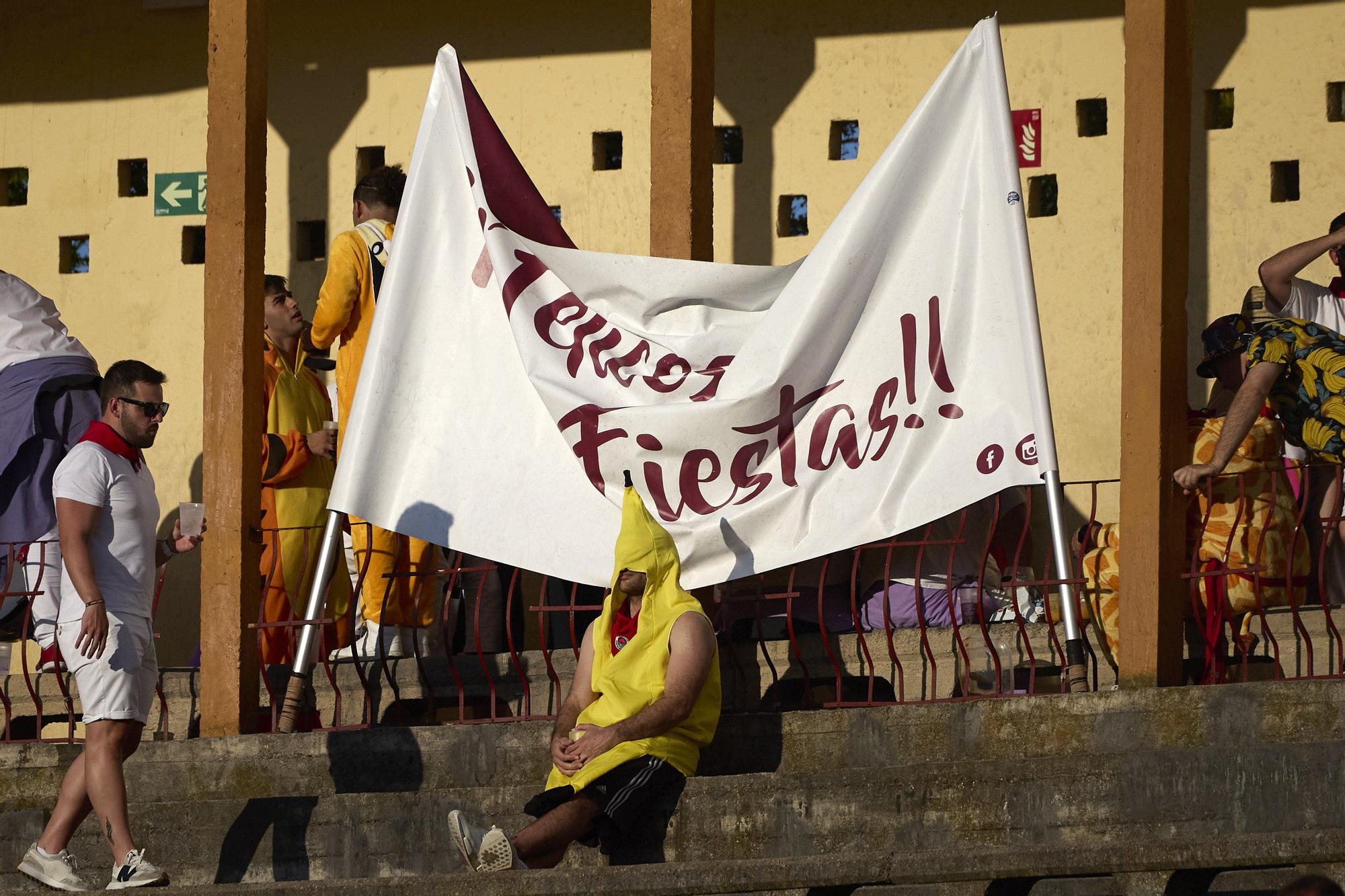 Fotos de la corrida de toros en Tudela con toros de Garzón Valdenebro