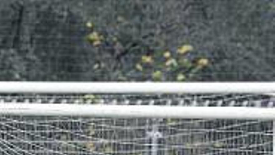 El torneo será solidario.