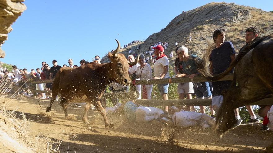 Cuarto encierro de El Pilón de Falces 2026, en directo