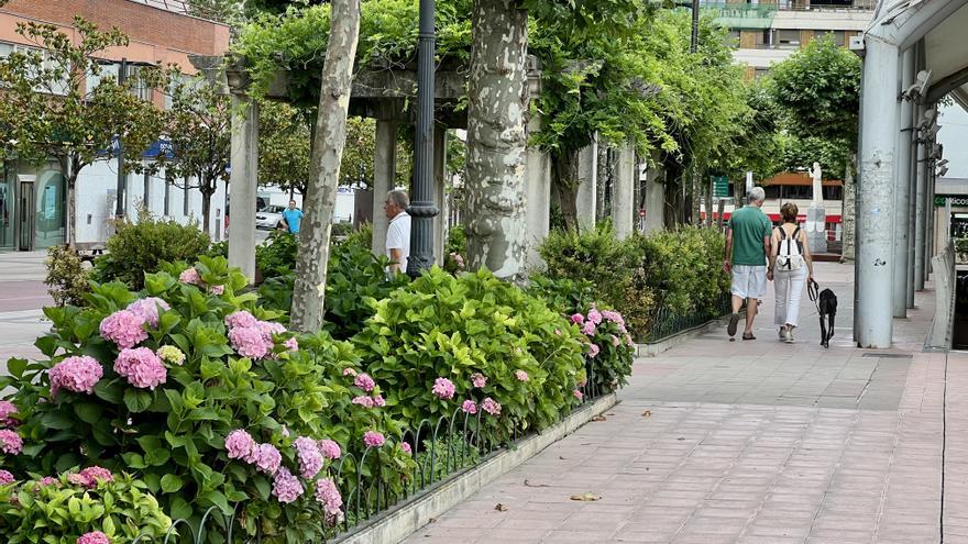 Beasain invierte casi 400.000 euros anuales en mantener sus espacios verdes