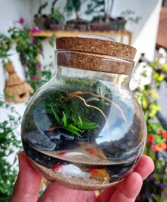 En imágenes: Así son los pequeños universos botánicos que triunfan en Bizkaia