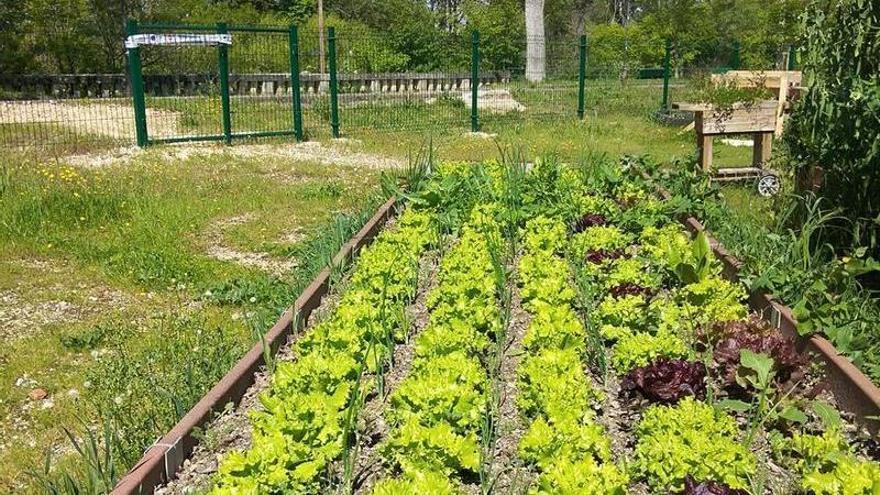 Pamplona impulsa un nuevo plan para potenciar y ampliar sus huertas urbanas