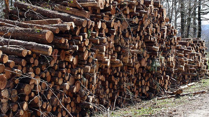 El aprovechamiento de bienes comunales del acuerdo de 1901 se refiere al arbolado y helechos.