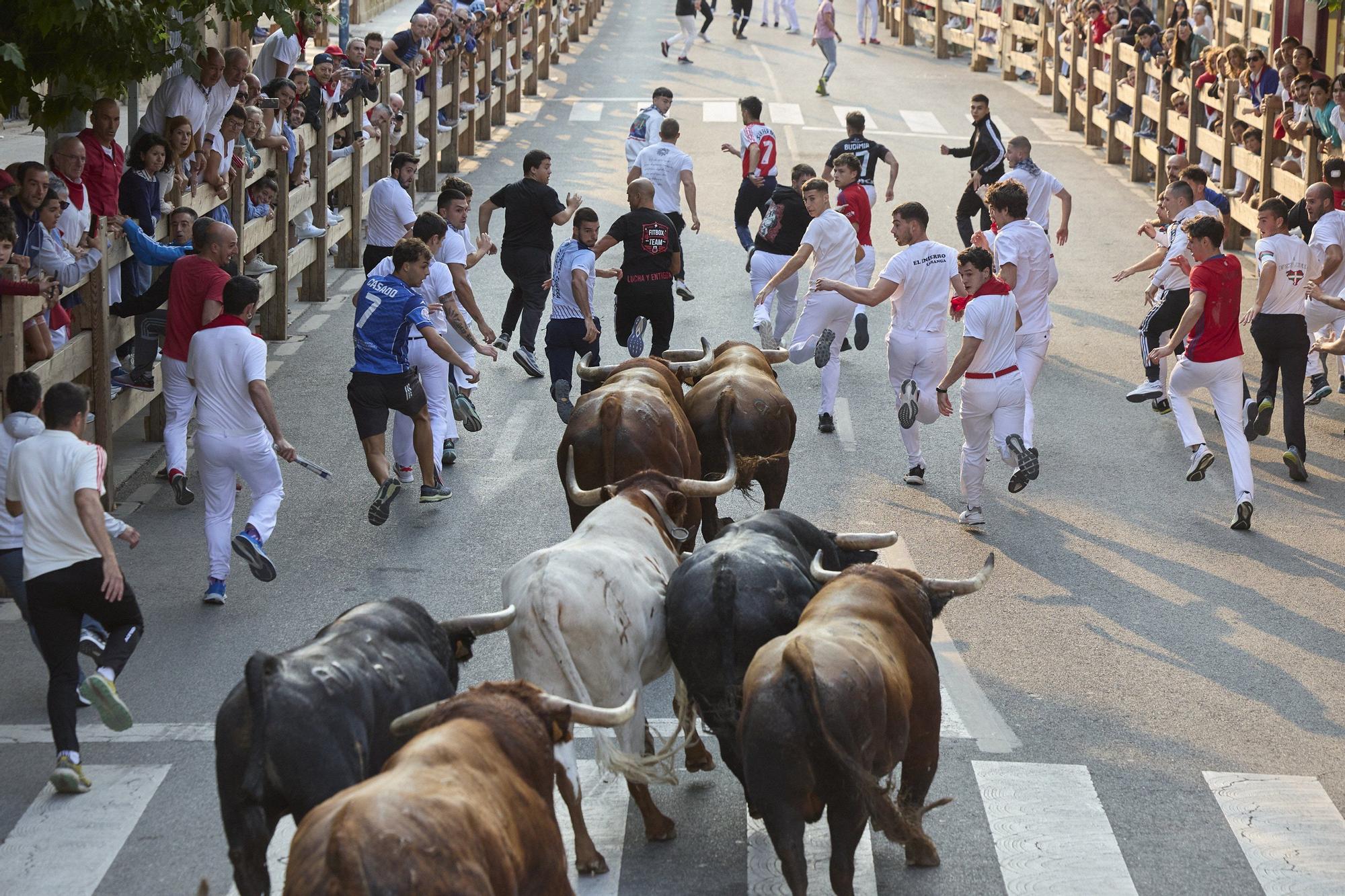 Fotos del sexto encierro de las fiestas de Tafalla 2025