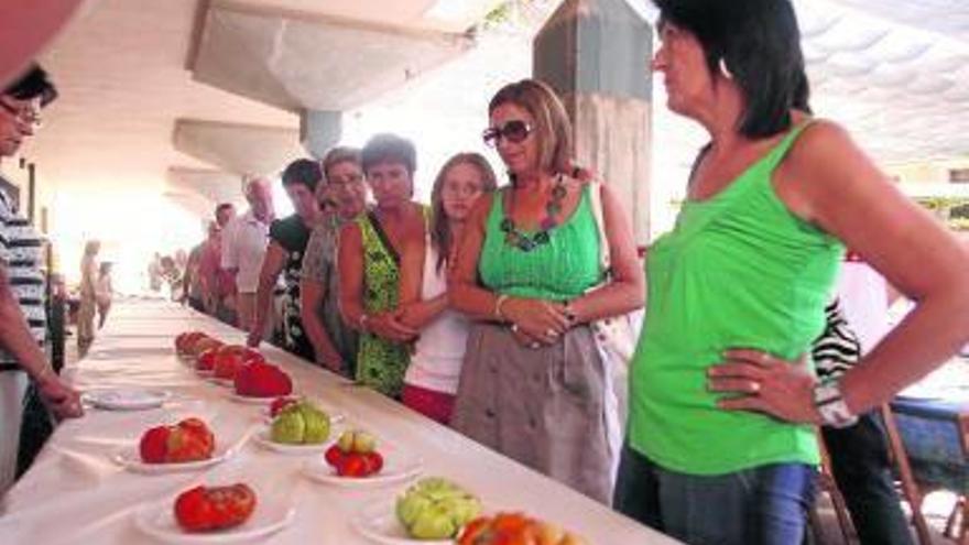 Más de 5.000 pinchos para el III Día del Tomate en Cadreita