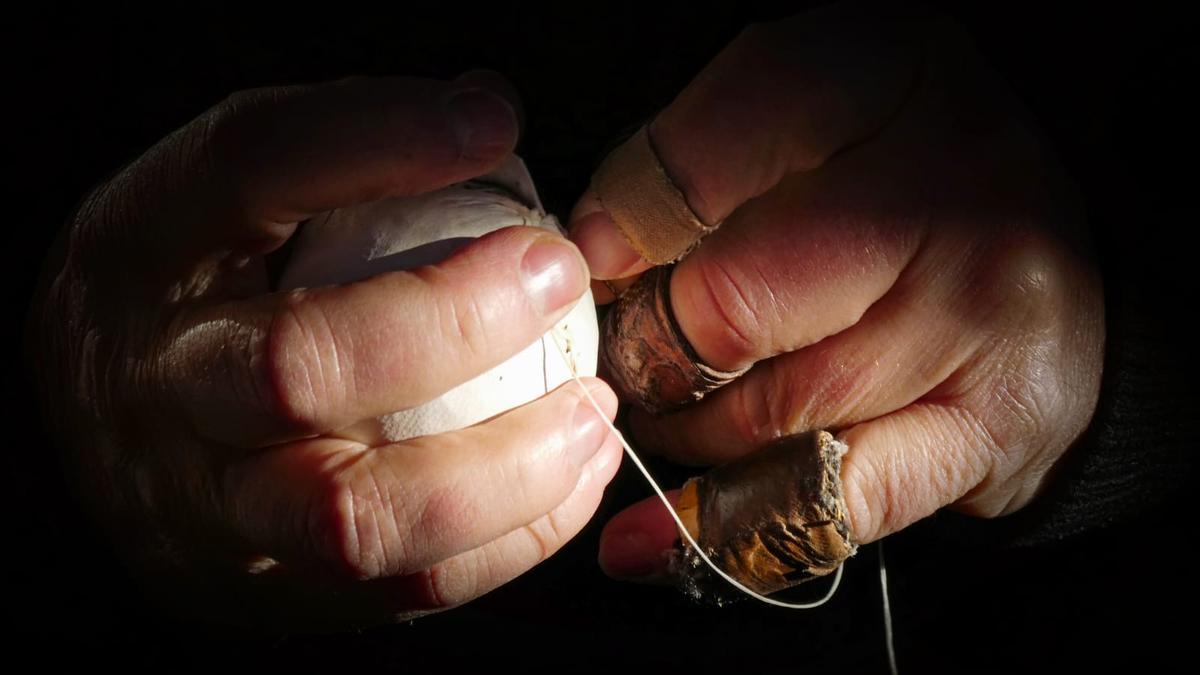 La imagen &#039;Kiski&#039; captada por José Ángel Amuchastegui.