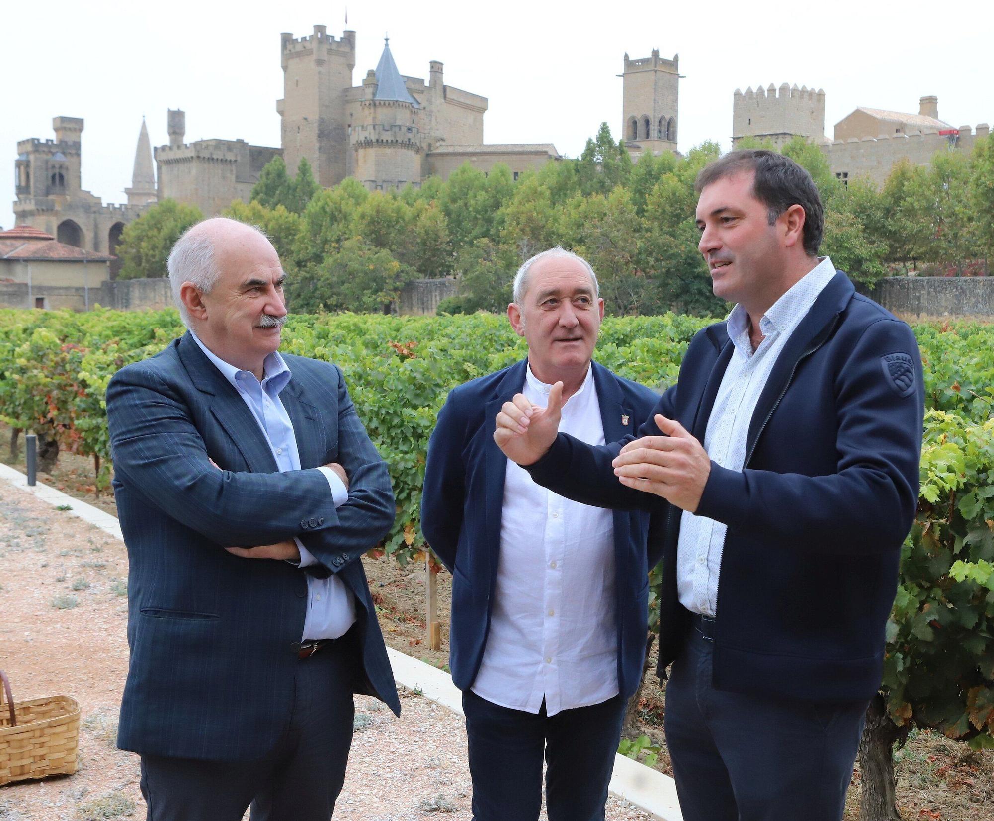 Vendimia en Navarra 2025 | Fotos del simbólico 'corte del último racimo' en Olite