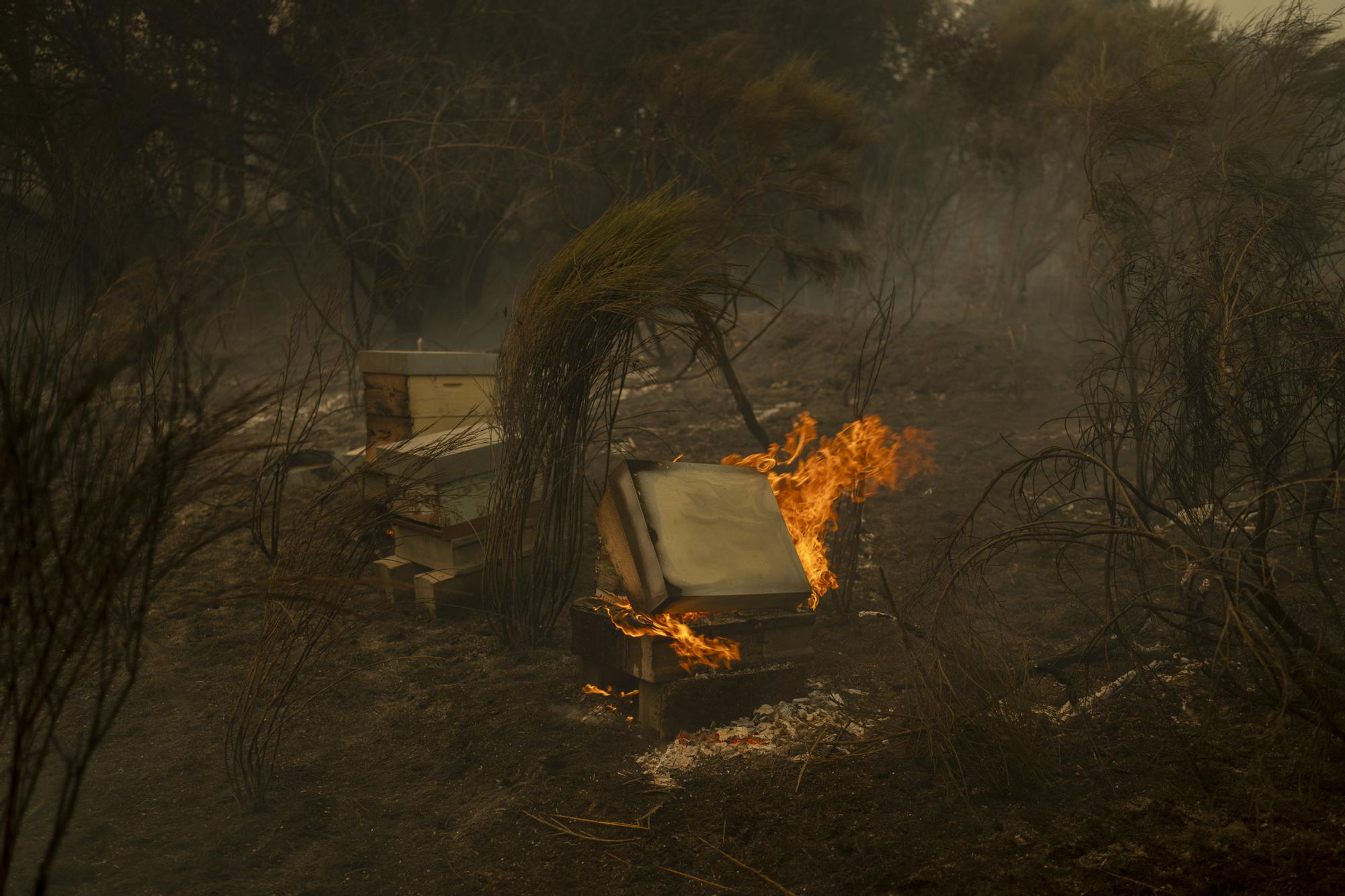 Semana negra de incendios: Cuatro muertos y 120.000 hectáreas quemadas
