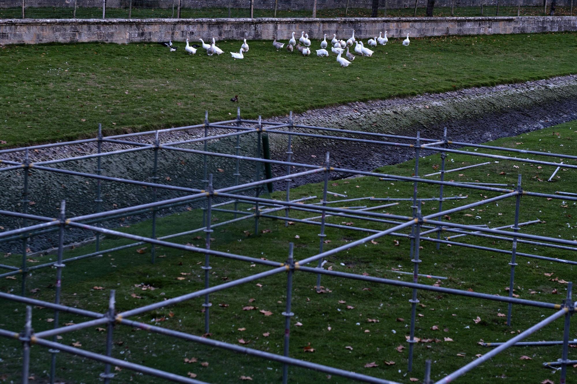 EN FOTOS | Estas son las jaulas que prepara el Ayuntamiento para confinar todas las aves de la Taconera