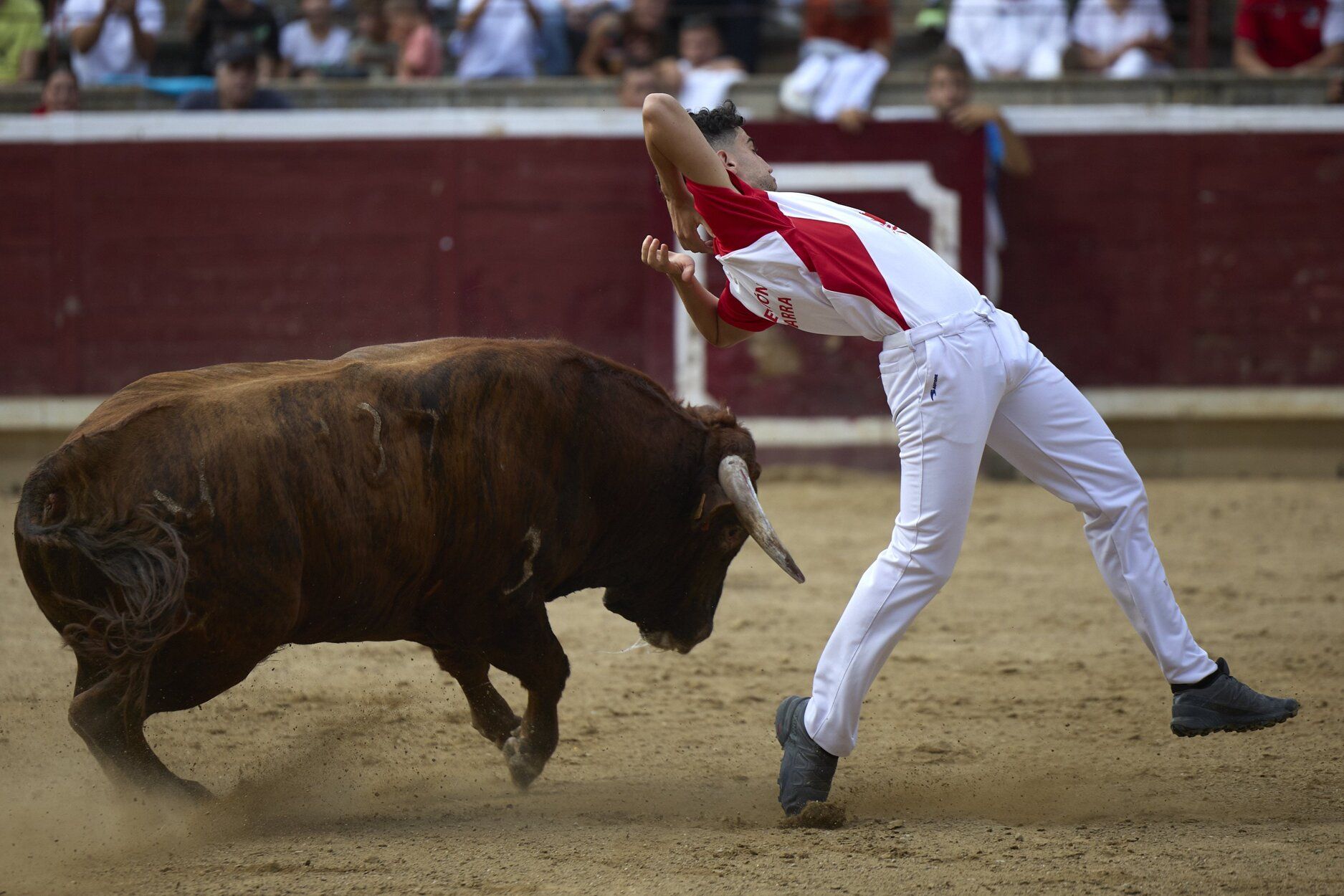 Fotos del concurso de recortadores de fiestas de Tafalla