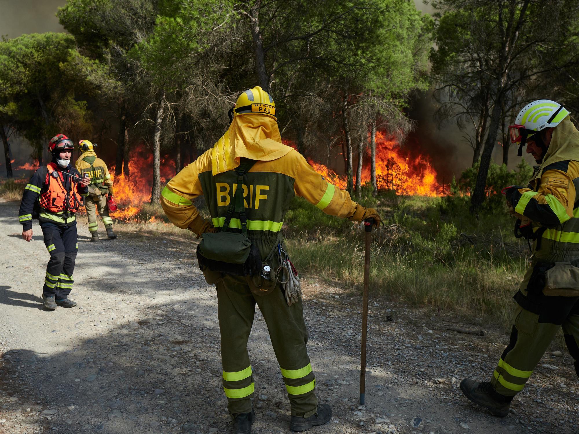Fotos del incendio forestal cerca de Carcastillo