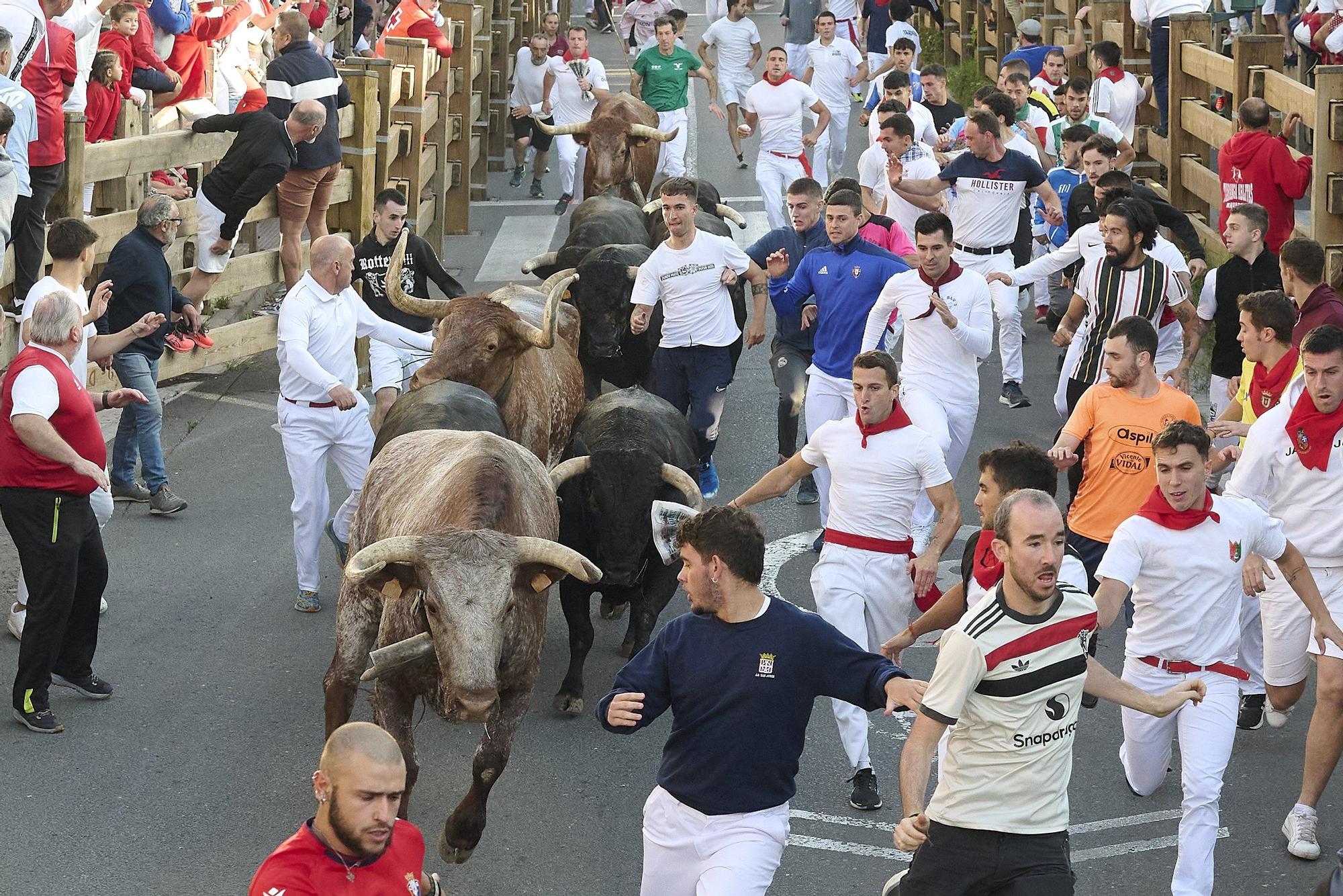 Fotos del tercer encierro de las fiestas de Tudela 2025