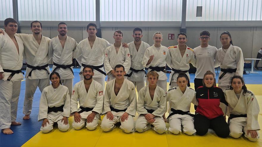 Navarra logra 15 medallas en la Fase Sector Norte del Campeonato de España Absoluto de Judo
