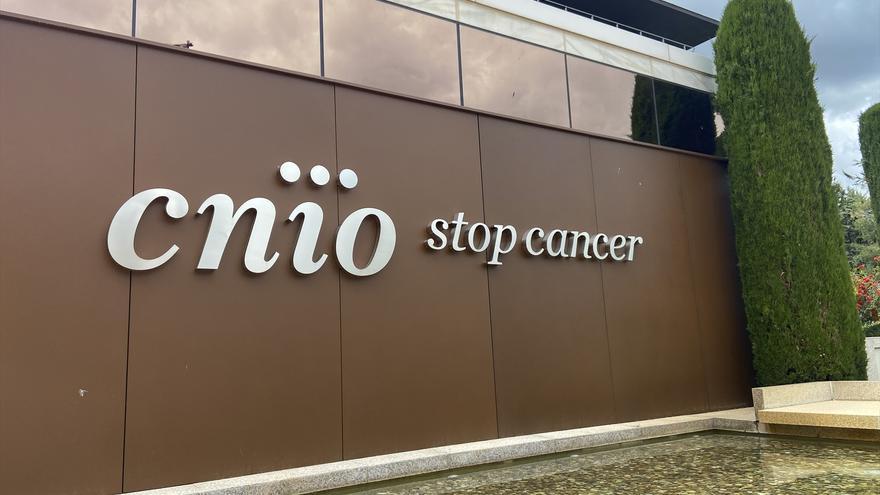 Logran eliminar por completo tumores de páncreas en ratones utilizando una triple terapia