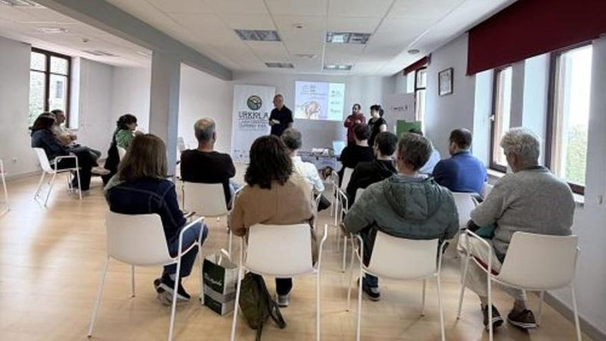 Durangaldea alerta del repunte de la avispa asiática en 2025