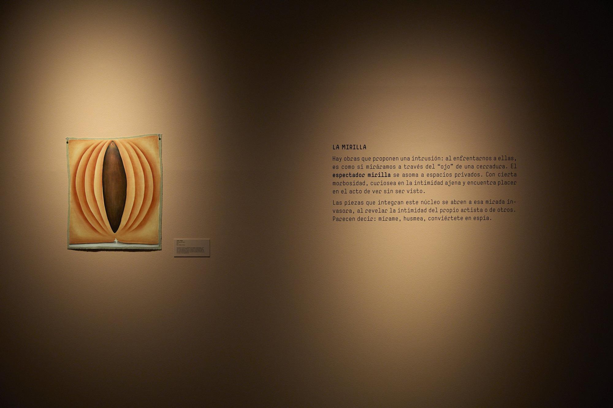 Exposición 'Querido espectador, ¿qué miras?' en el MUN