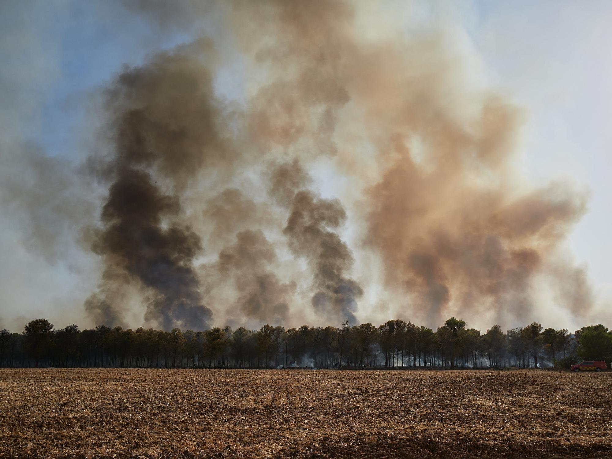 Fotos del incendio forestal cerca de Carcastillo