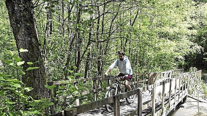 Donostia se asoma al  bosque