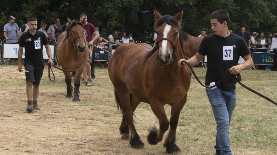 Álava presume de sus caballos en Ondategi