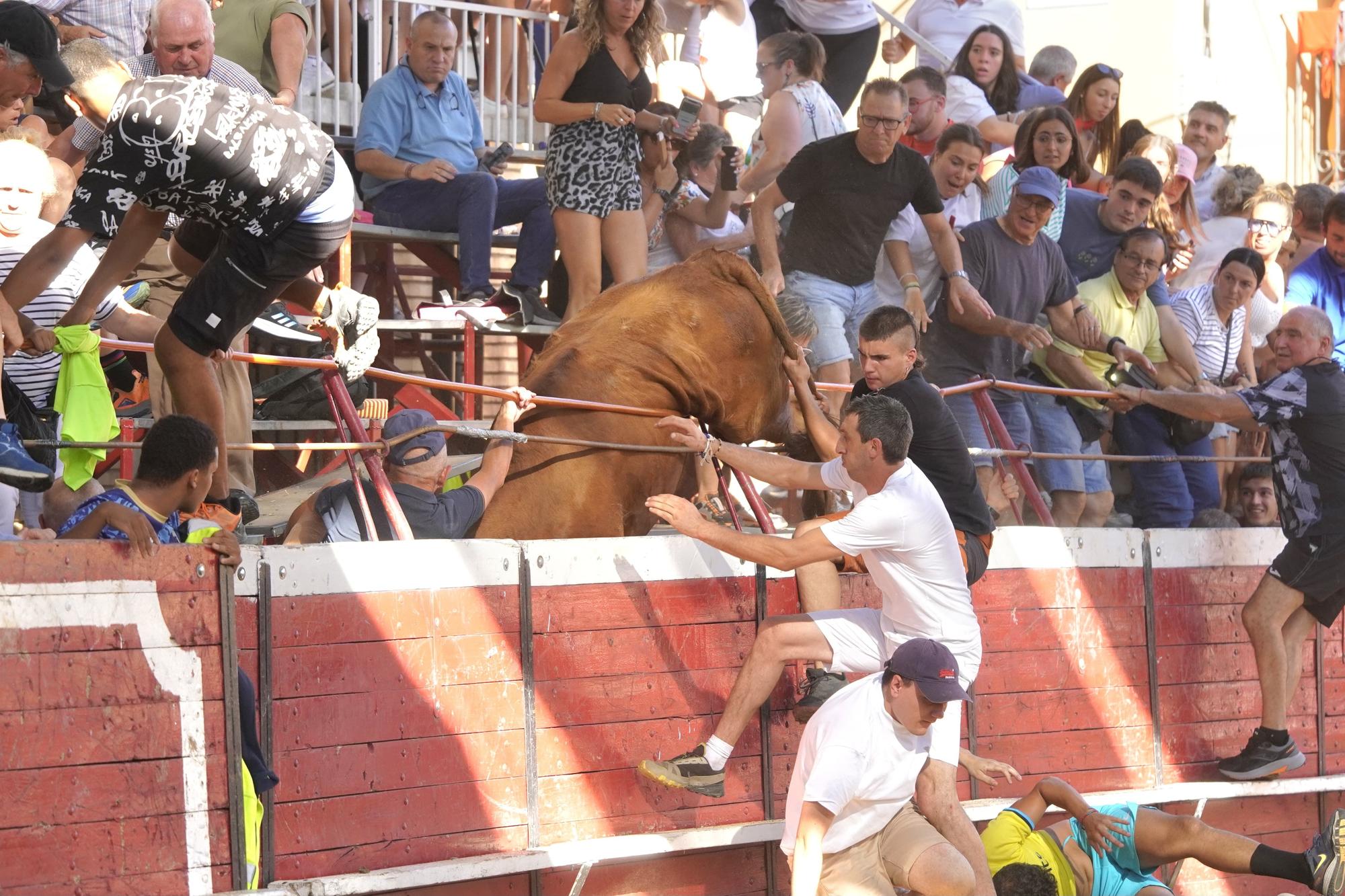 Así ha sido el salto de un toro a la grada en Cadreita