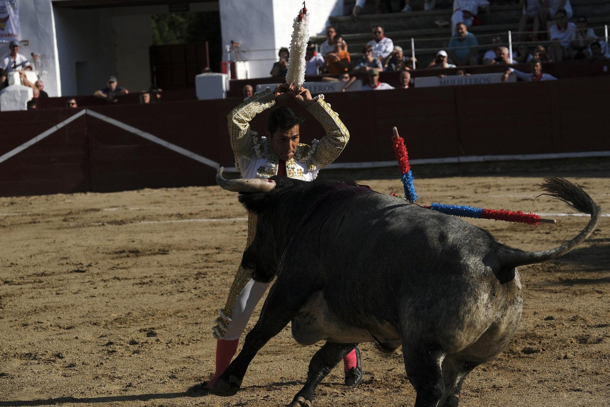 Fotos de la corrida con toros de Partido de Resina en fiestas de Estella-Lizarra