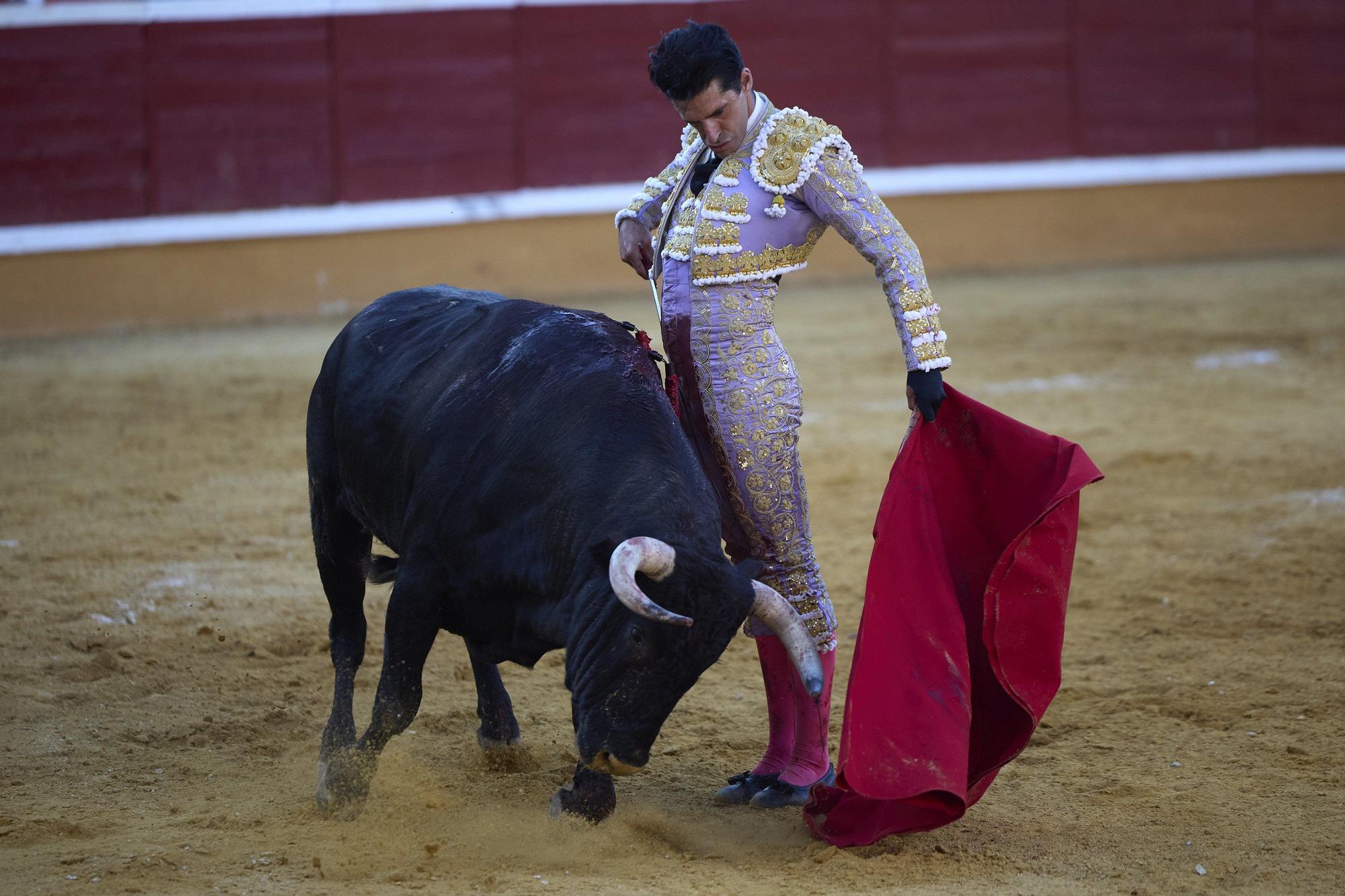 Fotos de la corrida de toros en Tudela con toros de Garzón Valdenebro