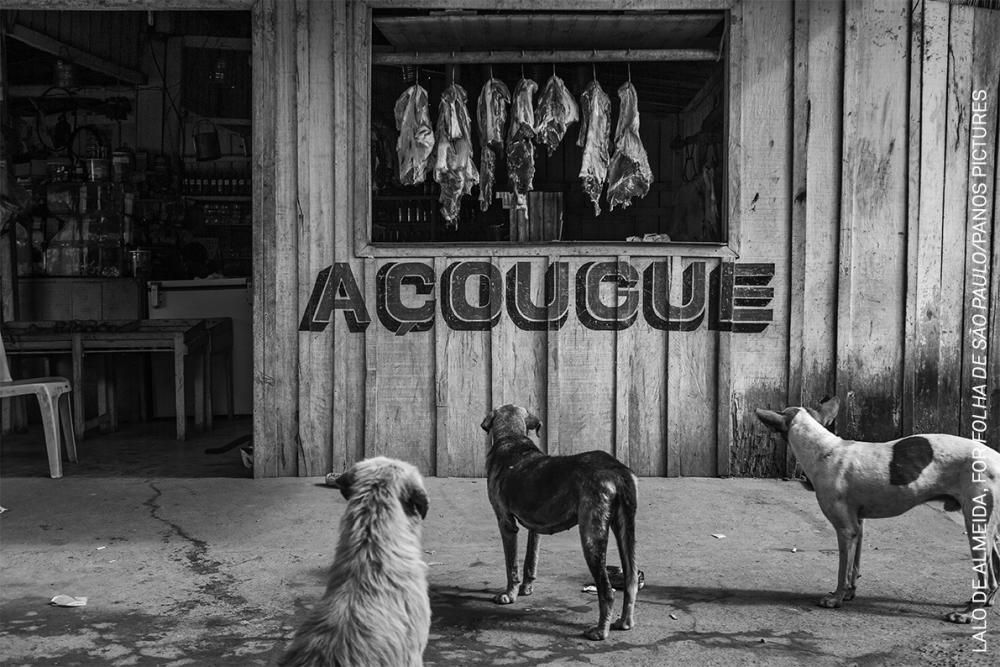 Perros callejeros miran fijamente la carne que cuelga en un carnicería en Vila da Ressaca, Brasil. World Press Photo 2022.