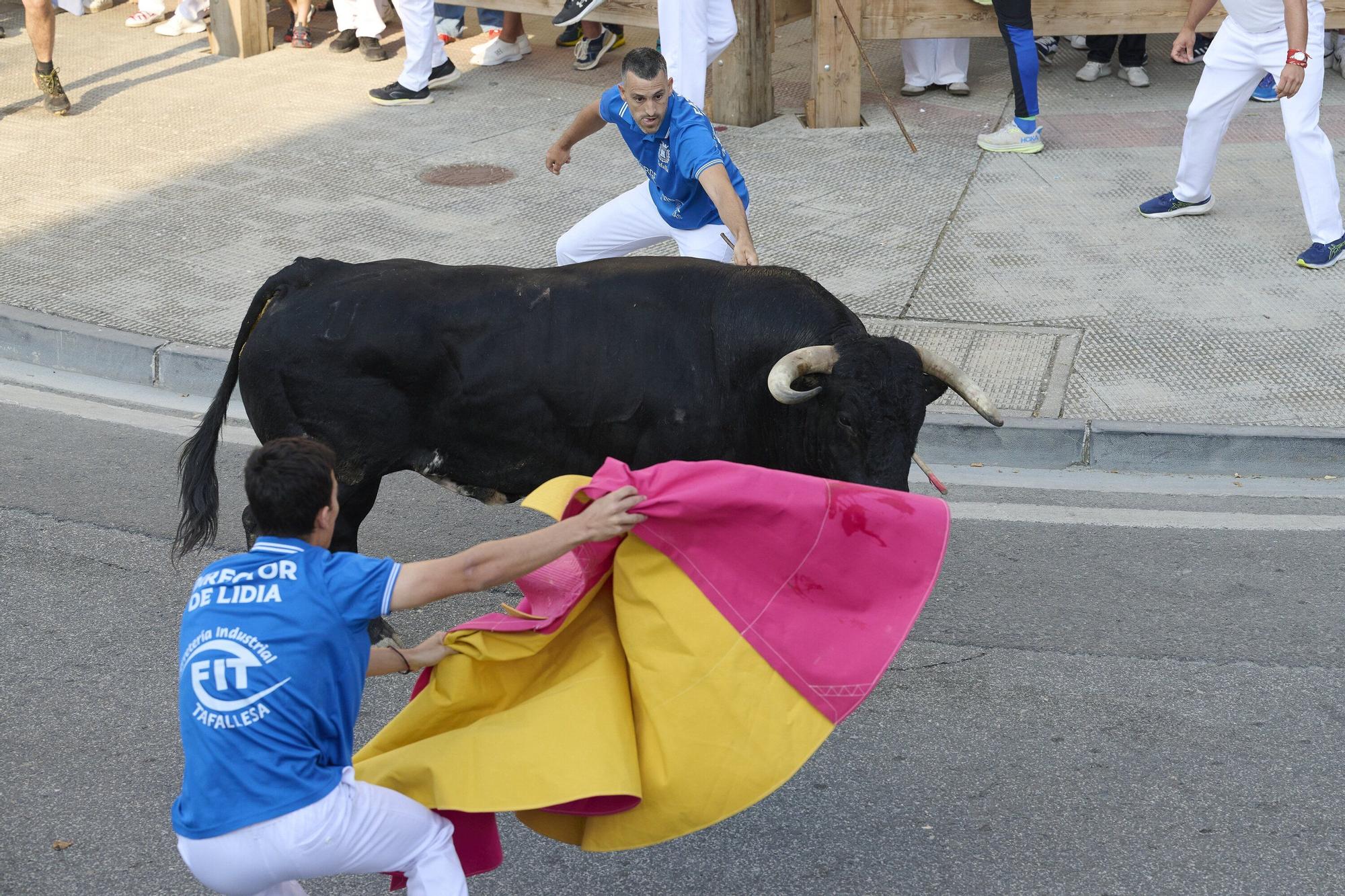 Fotos del primer encierro de fiestas de Tafalla