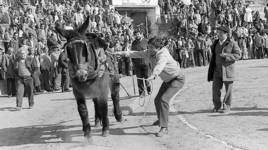 La Tafalla de los años 80, en blanco y negro a través de una exposición