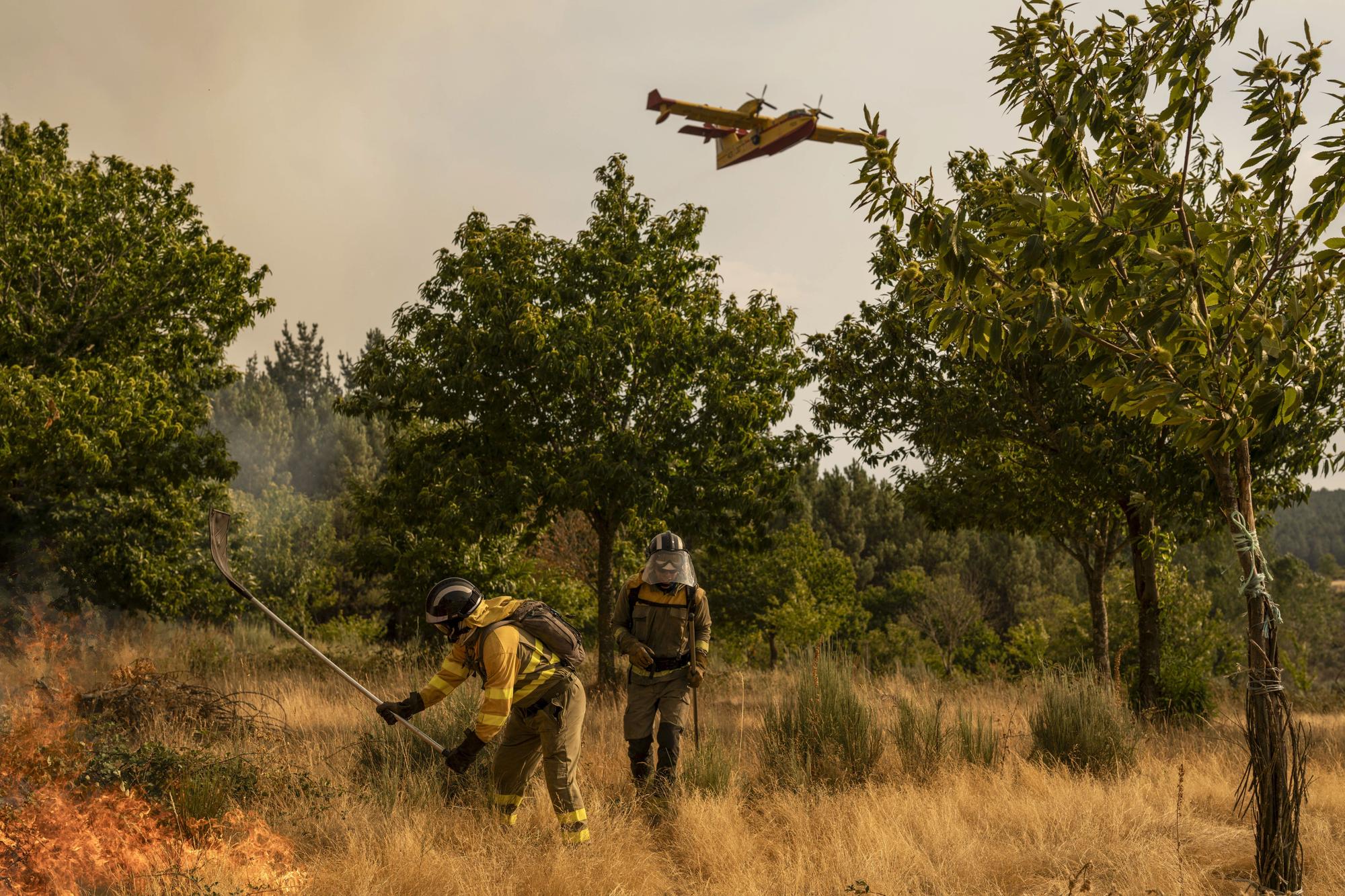 Incendios en Ourense: labores de extinción en un nuevo fuego declarado en A Gudiña
