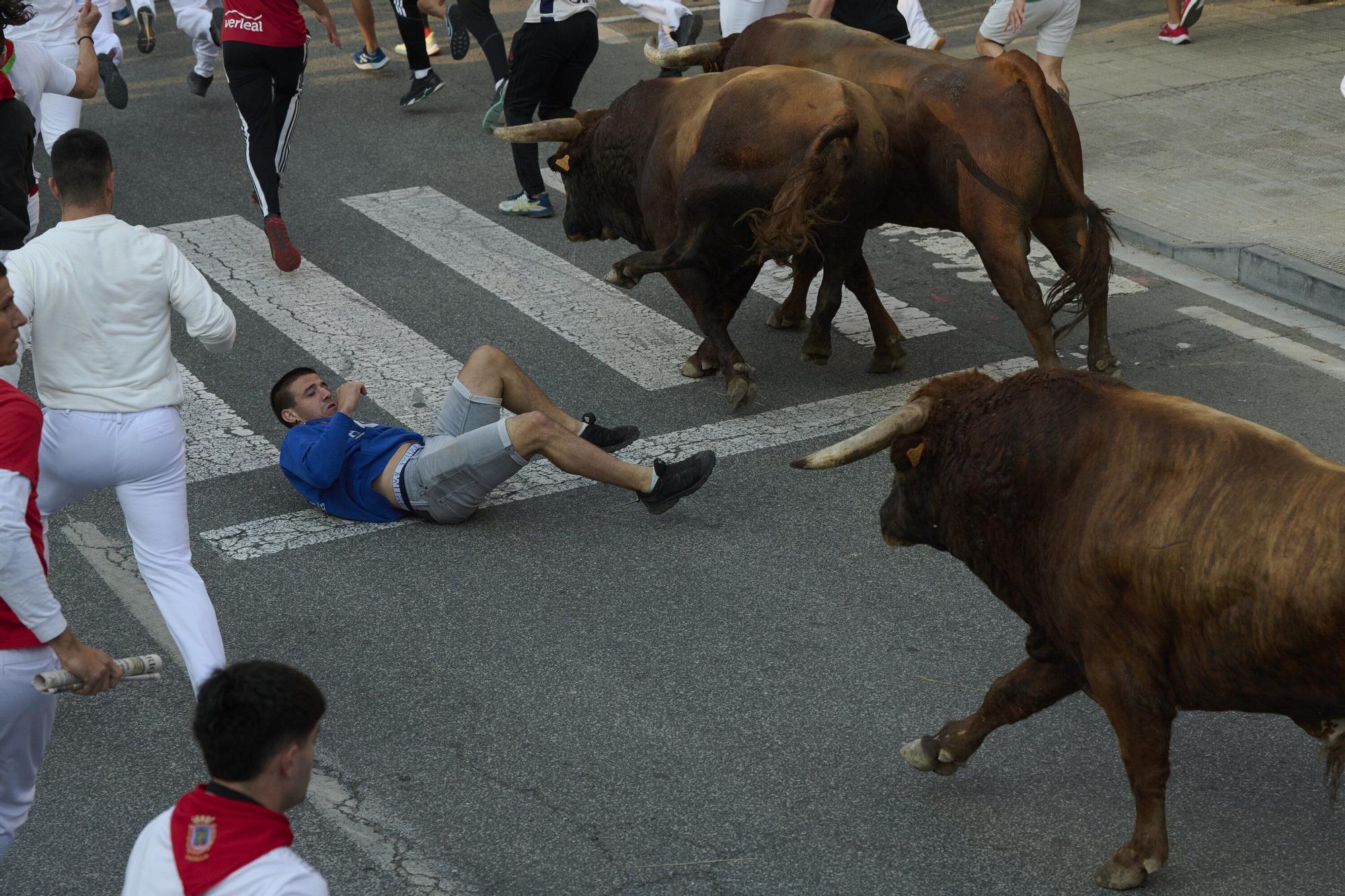 Fotos del sexto encierro de las fiestas de Tafalla 2025