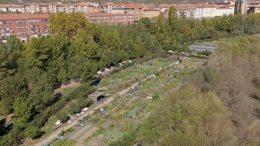 Un total de 1.160 personas se inscriben para el sorteo de 14 huertas de ocio de Aranzadi
