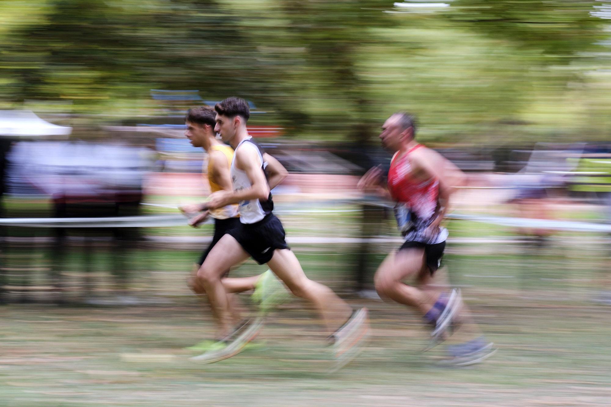 Fotos del cross de Estella