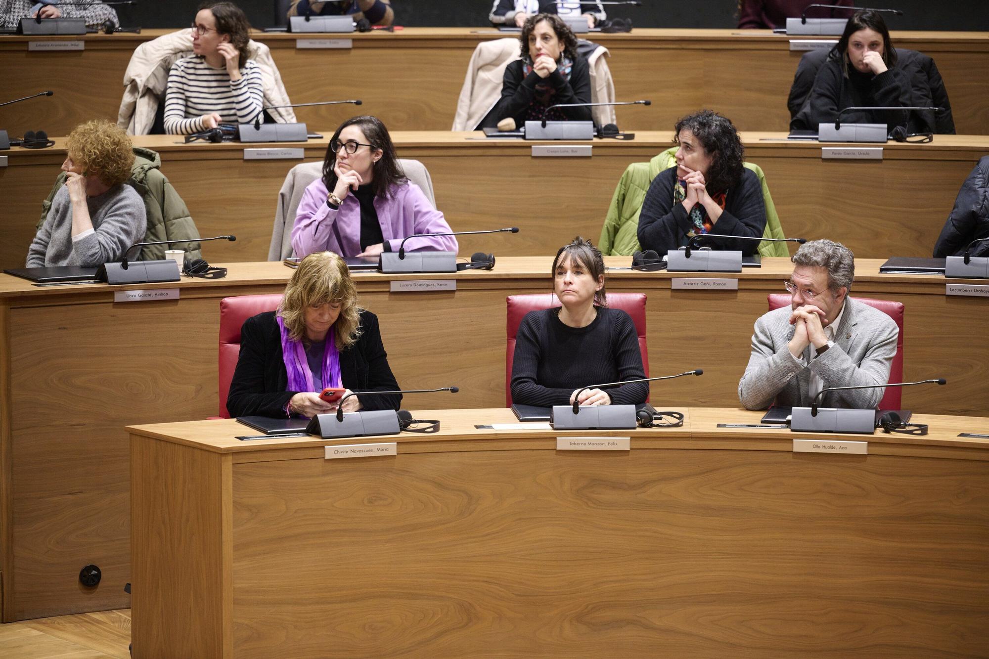 Conmemoración en el Parlamento de Navarra del Día Internacional de los Derechos Humanos