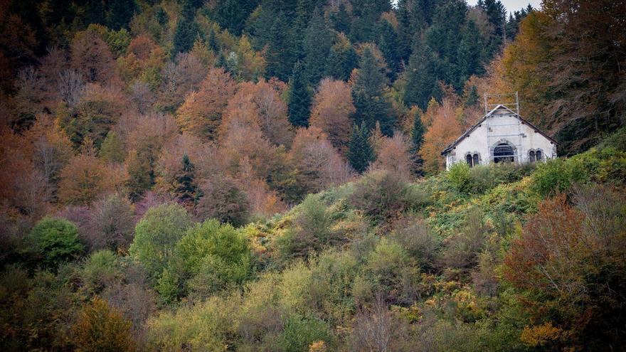 En imágenes: Cuatro bosques mágicos para disfrutar del otoño en Euskal Herria