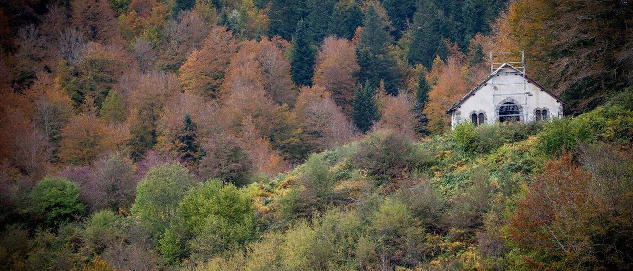 En imágenes: Cuatro bosques mágicos para disfrutar del otoño en Euskal Herria