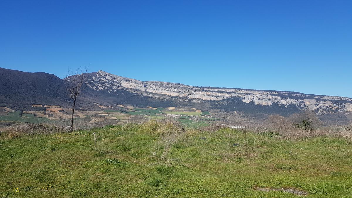 La sierra de Sarbil, donde se plantea el proyecto fotovoltaico que afectería a 62 hectáreas del monte.