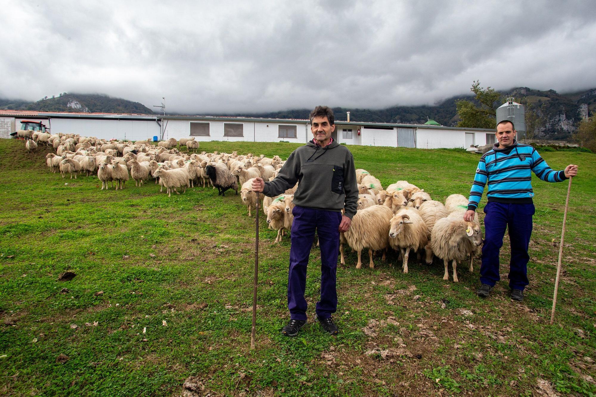 Fotos de la visita a la explotación ganadera de un joven que acaba de instalarse en Gaintza, en el valle de Araitz