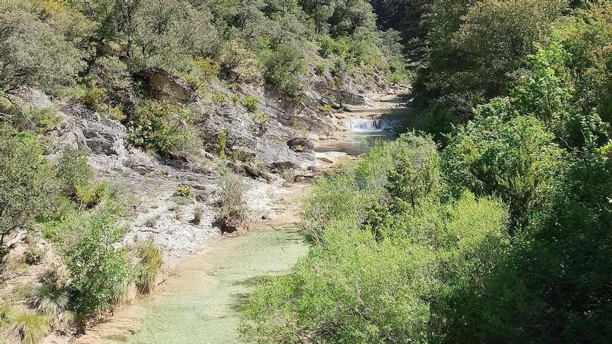 Conoce la naturaleza de Navarra con las excursiones gratuitas del Guarderío de Medio Ambiente