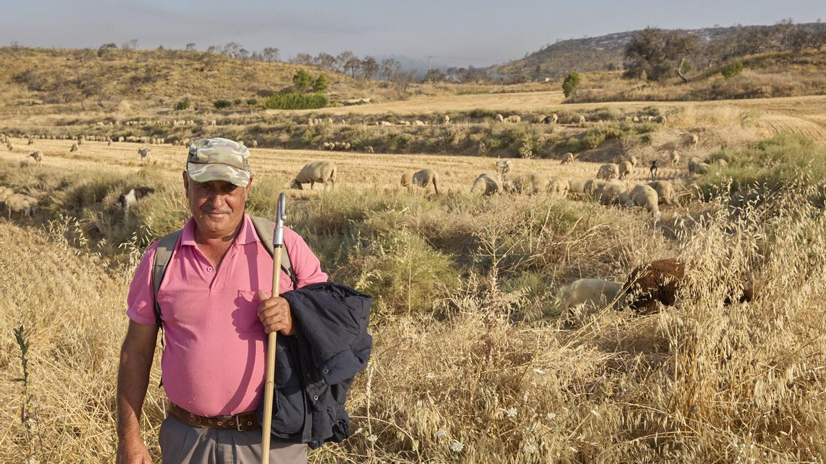Leonardo Carvas, con sus ovejas este lunes por la mañana. Al fondo, la zona del incendio todavía humeante.