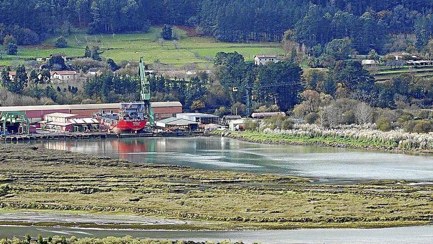 Etxanobe cuestiona la viabilidad del Guggenheim en Urdaibai &quot;a corto y medio plazo&quot;