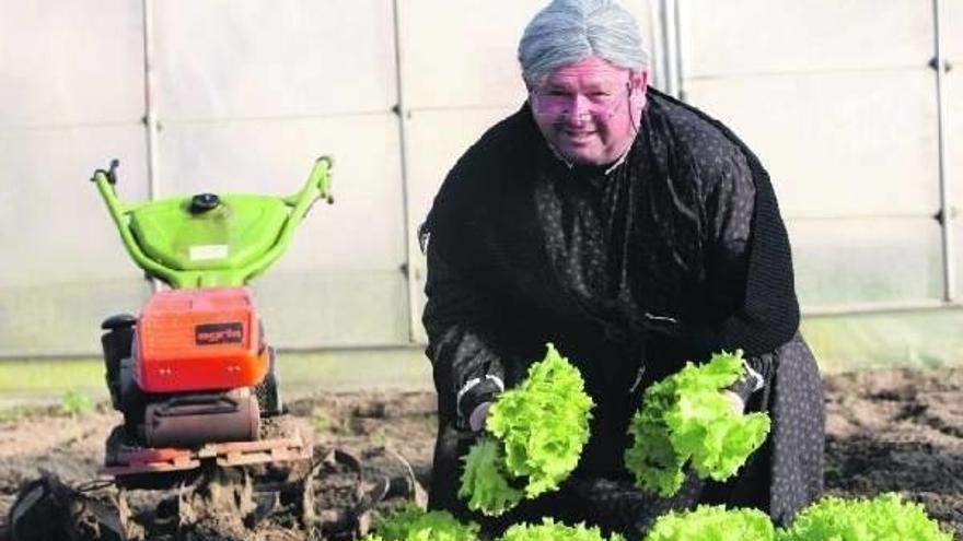 Arrieta, caracterizado de la &quot;amona Joxepa&quot;, el disfraz con el que deleitó a los donostiarras en 1995, recoge lechugas de su huerta.